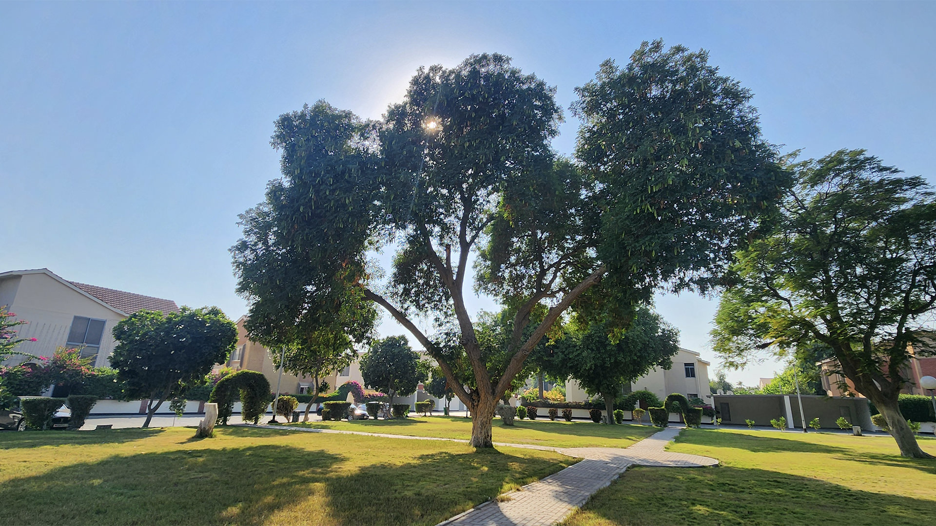The main gate for Hani Garden